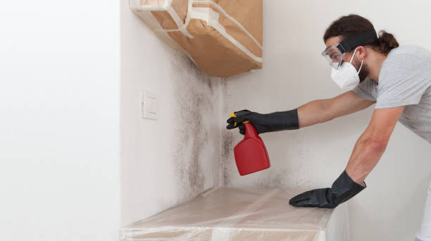 Professional Crawl Space Mold Remediation technician working in Brookfield, NJ